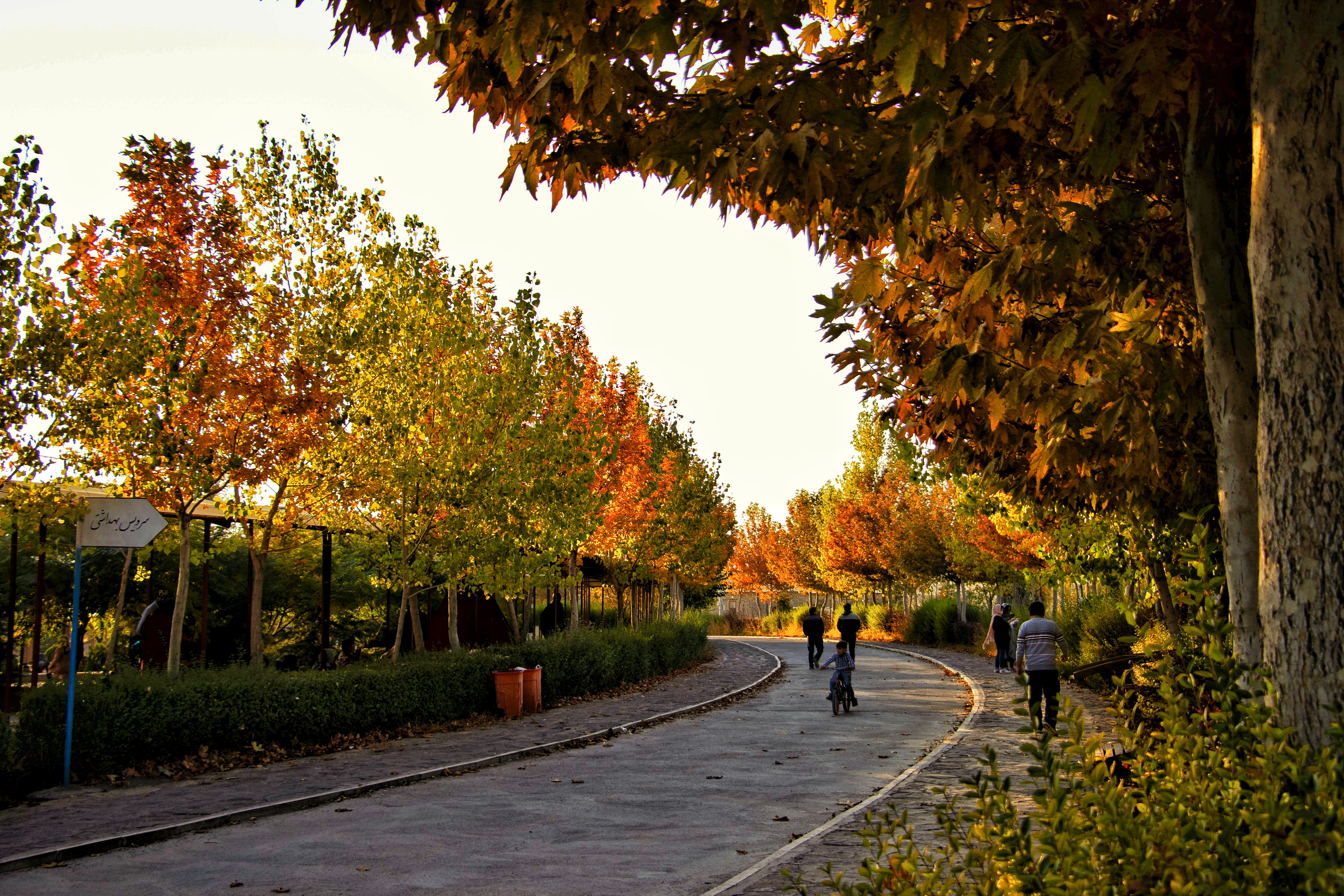 طبیعت پاییزی دهکده سلامت صبا