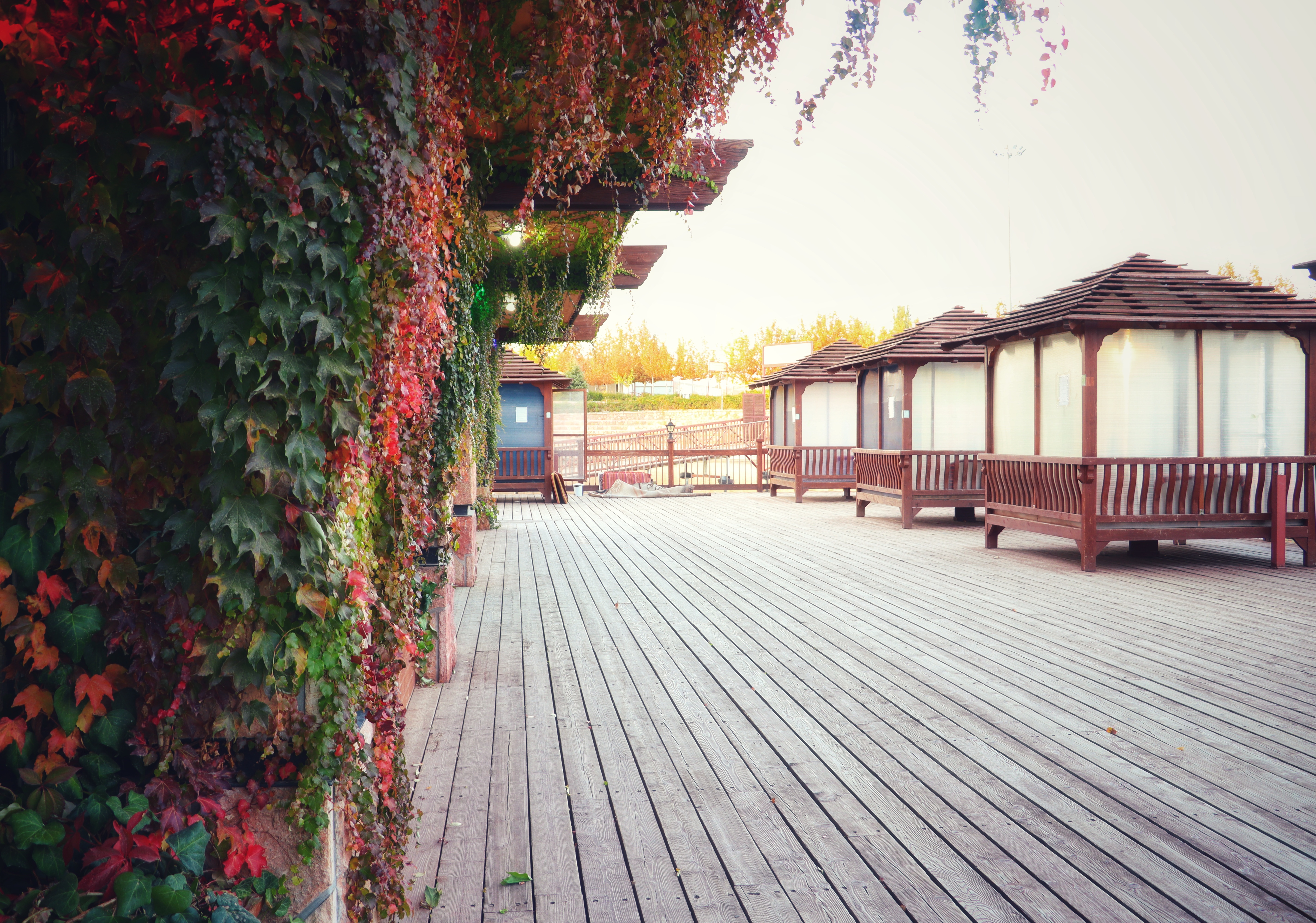 طبیعت پاییزی دهکده سلامت صبا