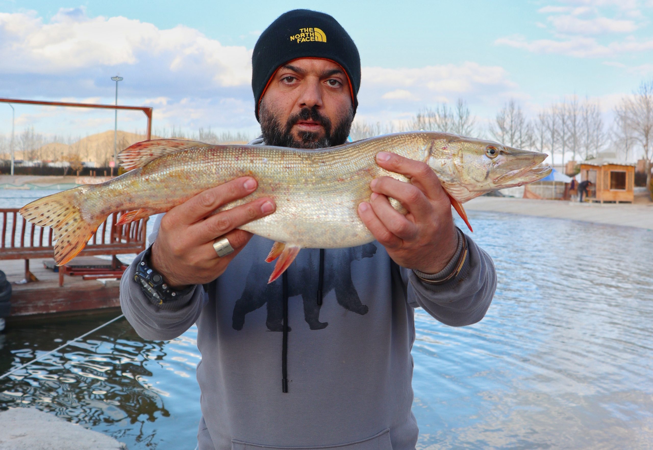 صید اردک ماهی