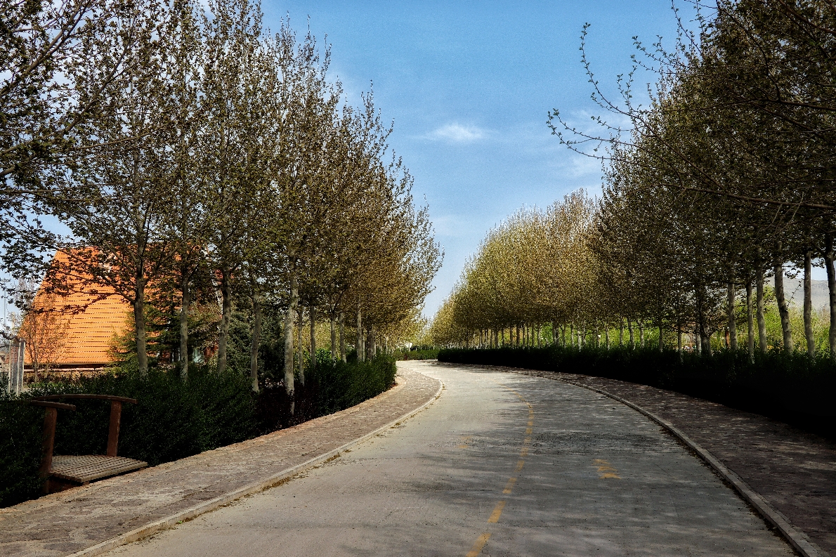 جاده سلامت جاده سلامت