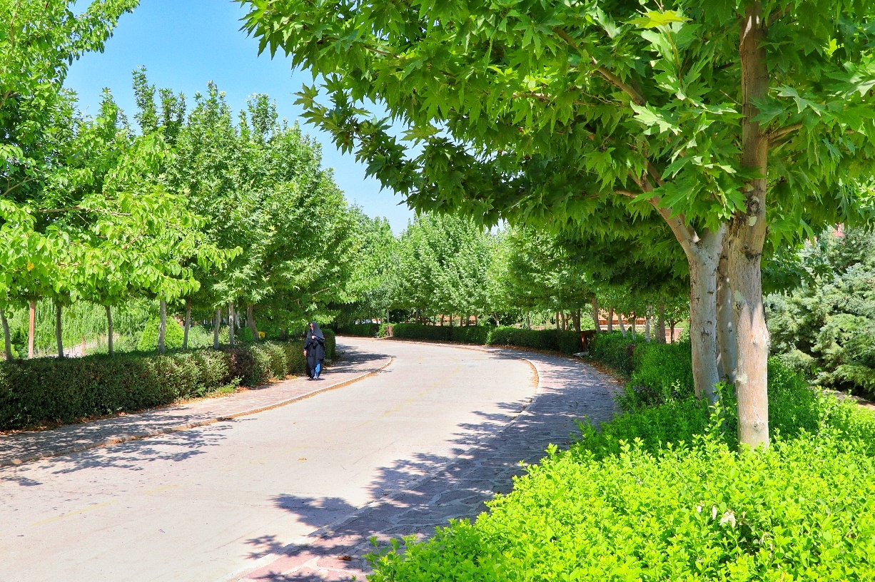 پیاده روی